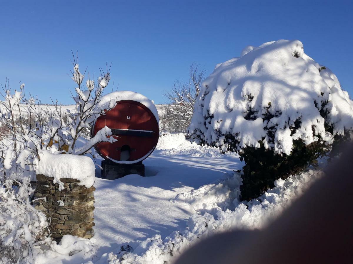 Agriturismo Cascina Binelli Dogliani Εξωτερικό φωτογραφία